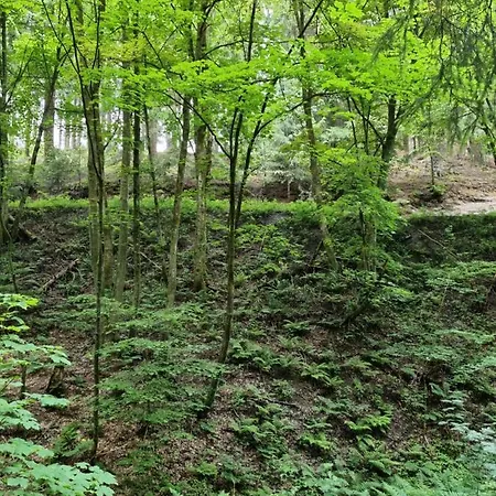 Rakke Kiefernweg Lejlighed