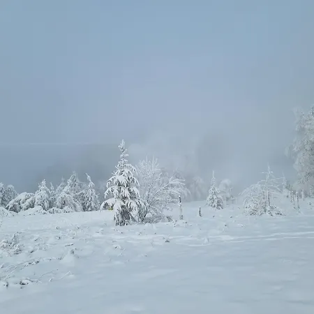Rakke Kiefernweg Lägenhet *