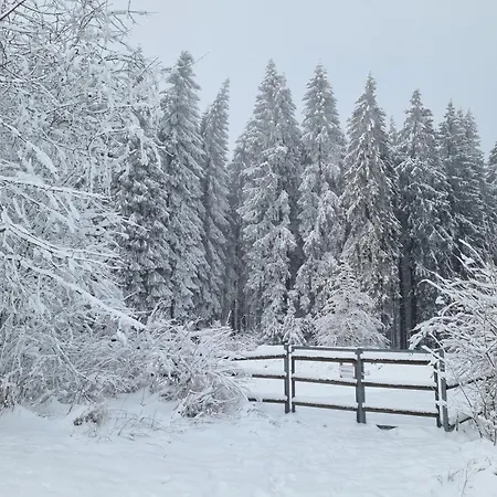 Lägenhet Rakke Kiefernweg Winterberg
