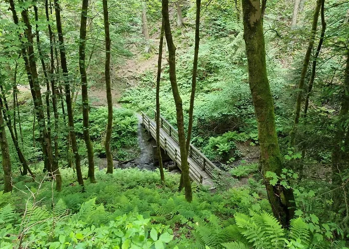 公寓 Rakke Kiefernweg *