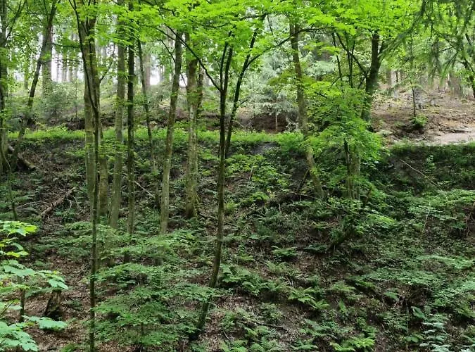 Rakke Kiefernweg 公寓