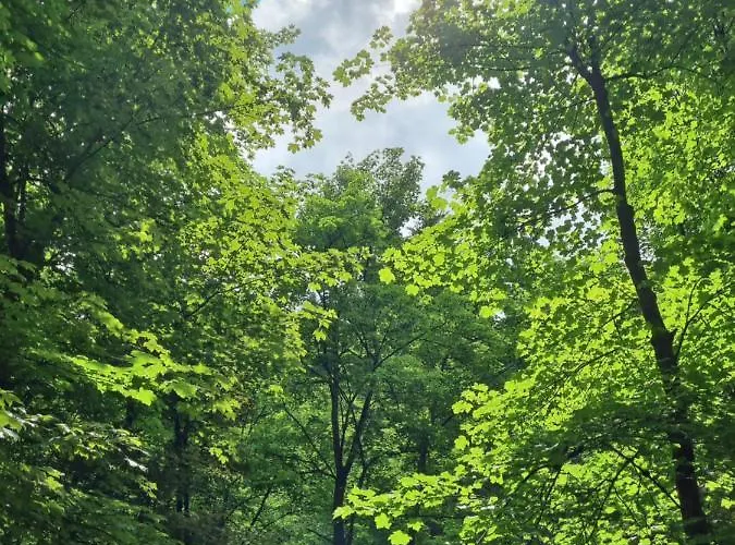 公寓 Rakke Kiefernweg *