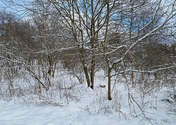 Rakké Kiefernweg * Winterberg