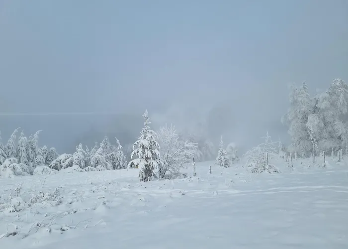 Rakke Kiefernweg 公寓 *