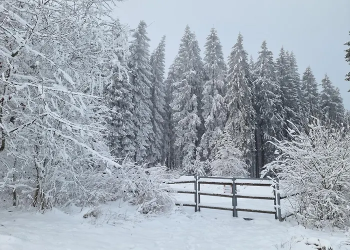 Apartamento Rakké Kiefernweg Winterberg